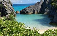 hidden-gem-bermuda-beaches-jobsons-cove-beach