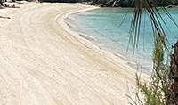 hidden-gem-bermuda-beaches-somerset-long-bay-beach